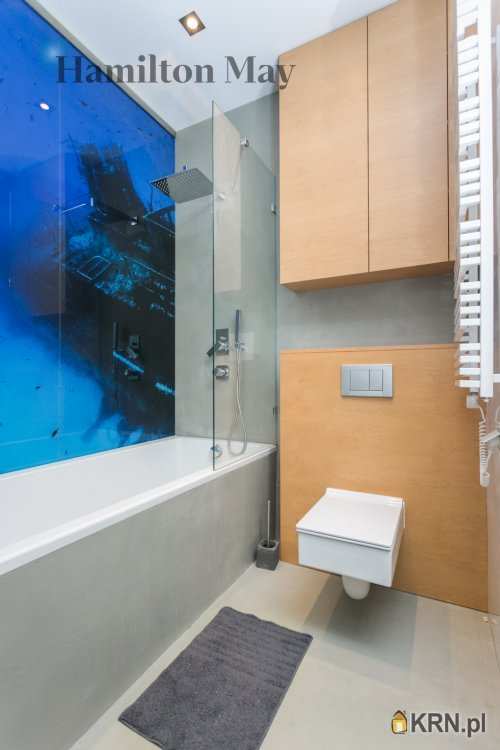 , Kraków, Stare Miasto, ul. Radziwiłłowska, Mieszkanie  do wynajęcia