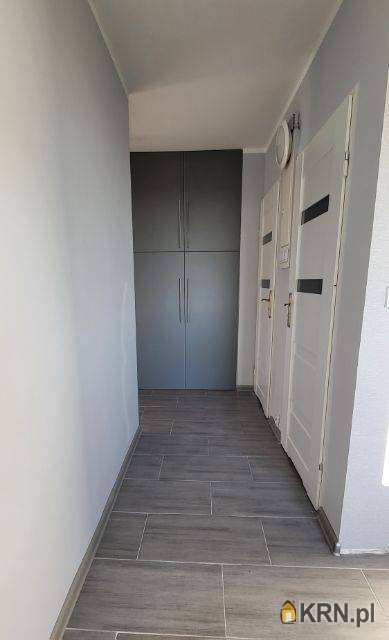 Chorzów, Centrum, ul. Krakusa, Mieszkanie  do wynajęcia, 3 pokojowe