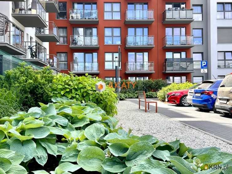Zielona Góra, ul. Lisia, 3 pokojowe, Mieszkanie  do wynajęcia