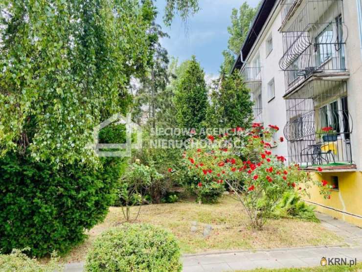 Mieszkanie  do wynajęcia, Sopot, Dolny Sopot, ul. S. Okrzei, 2 pokojowe