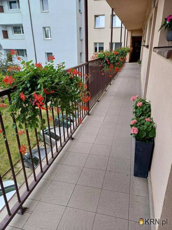 Zabrze, ul. , Mieszkanie  na sprzedaż, 3 pokojowe