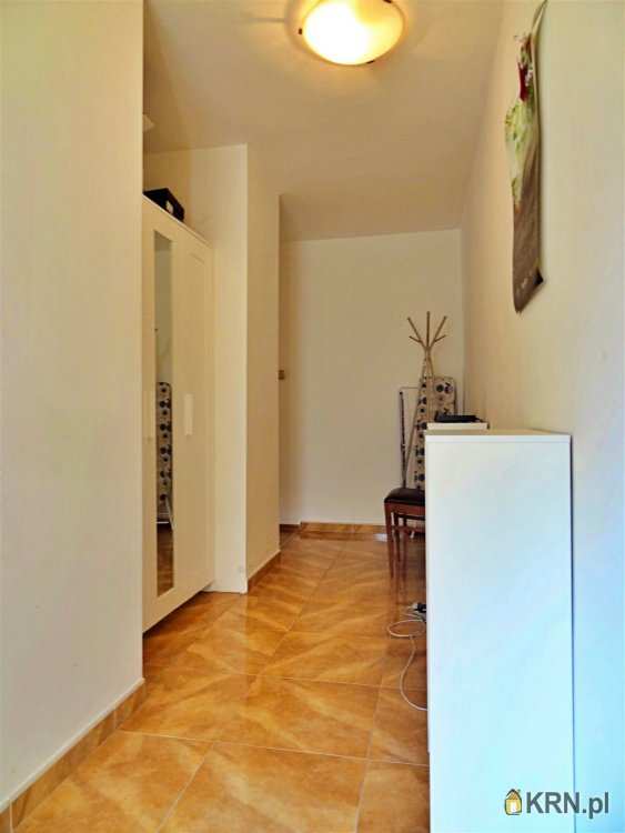 3 pokojowe, Wrocław, Śródmieście, ul. Grunwaldzki, Mieszkanie  do wynajęcia