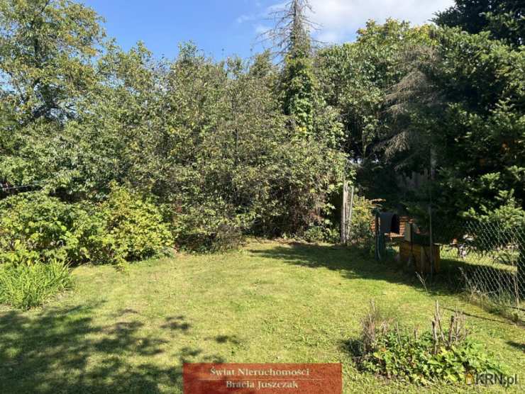 Świat Nieruchomości, Mieszkanie  do wynajęcia, Wrocław, Śródmieście/Sępolno, ul. 