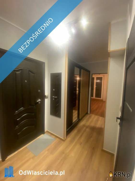 Katowice, Koszutka, ul. Modrzewiowa, Mieszkanie  do wynajęcia, 4 pokojowe