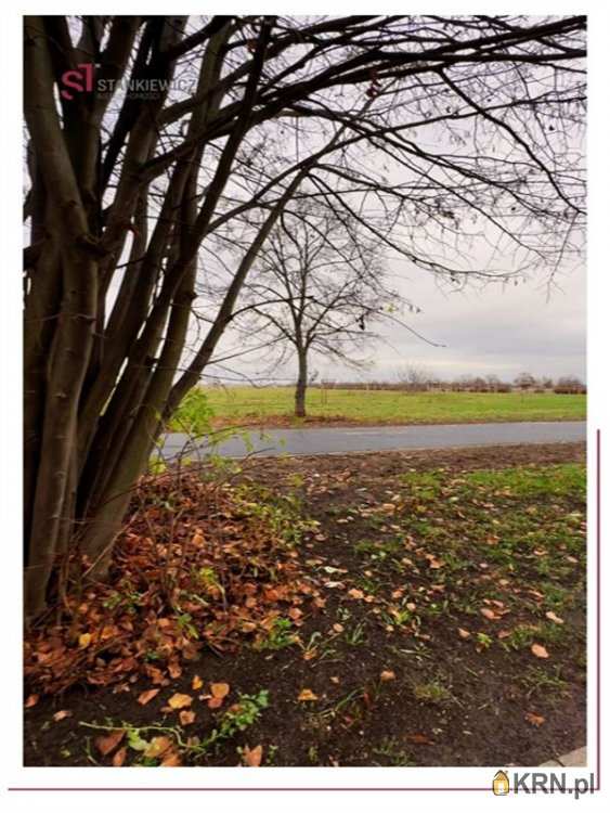 Twoje Centrum Nieruchomości, Mieszkanie  do wynajęcia, Leszno, ul. Ogrody