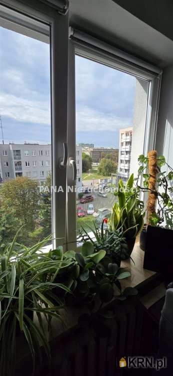 Kraków, Nowa Huta, ul. Centrum E, Mieszkanie  na sprzedaż, 4 pokojowe
