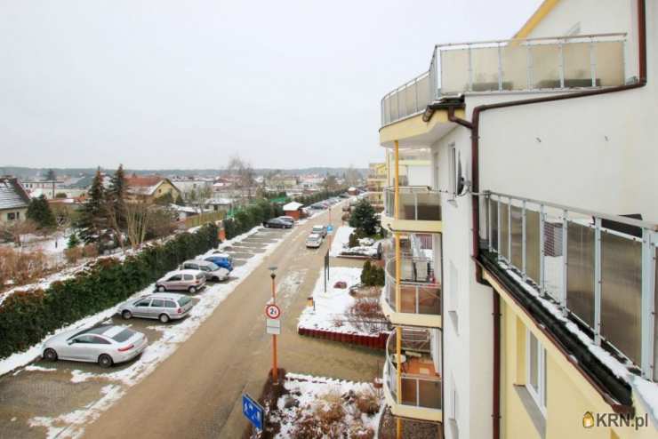 Mieszkanie  do wynajęcia, Toruń, Chełmińskie Przedmieście, ul. Polna, 4 pokojowe