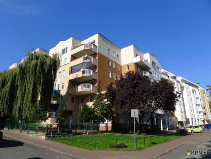 Poznań, Wilda, ul. Dolina, Mieszkanie  do wynajęcia, 4 pokojowe