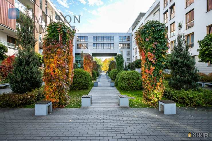 3 pokojowe, Warszawa, ul. , Mieszkanie  do wynajęcia