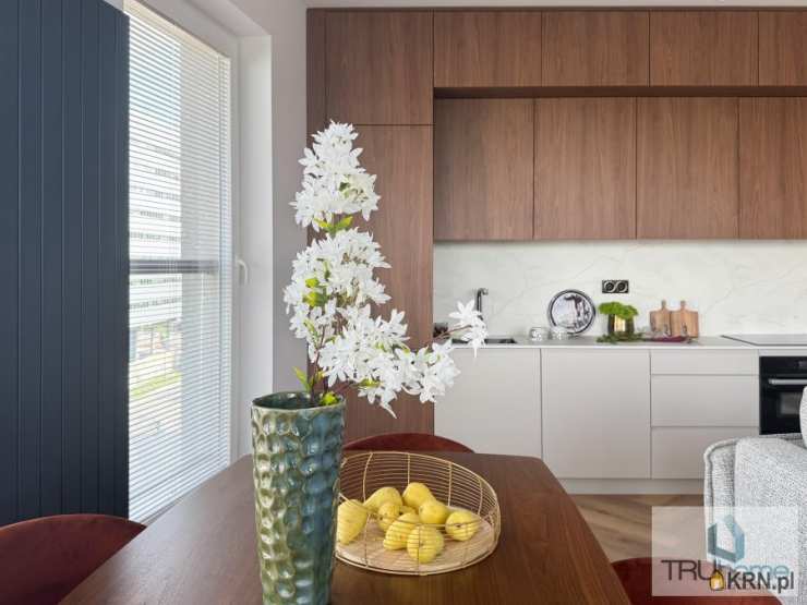 4 pokojowe, Katowice, Środmieście, ul. Sokolska, Mieszkanie  do wynajęcia