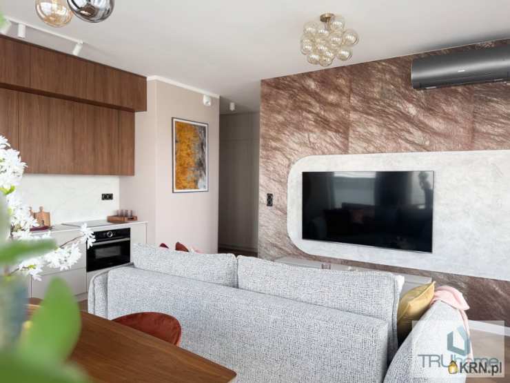 TRUhome Nieruchomości Piotr Cyba, Mieszkanie  do wynajęcia, Katowice, Środmieście, ul. Sokolska