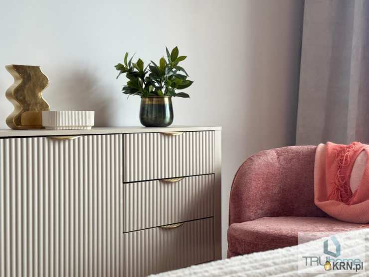 TRUhome Nieruchomości Piotr Cyba, Mieszkanie  do wynajęcia, Katowice, Środmieście, ul. Sokolska